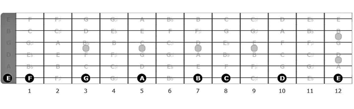 guitar fretboard, guitar strings, guitar notes, e string, g string, low e string, open string, high e string