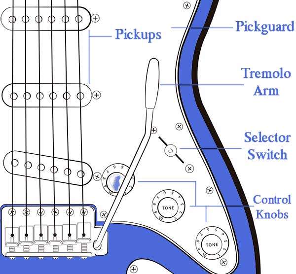 electric guitar anatomy, guitar strings, tone knobs, guitar amp, machine heads, metal bar
