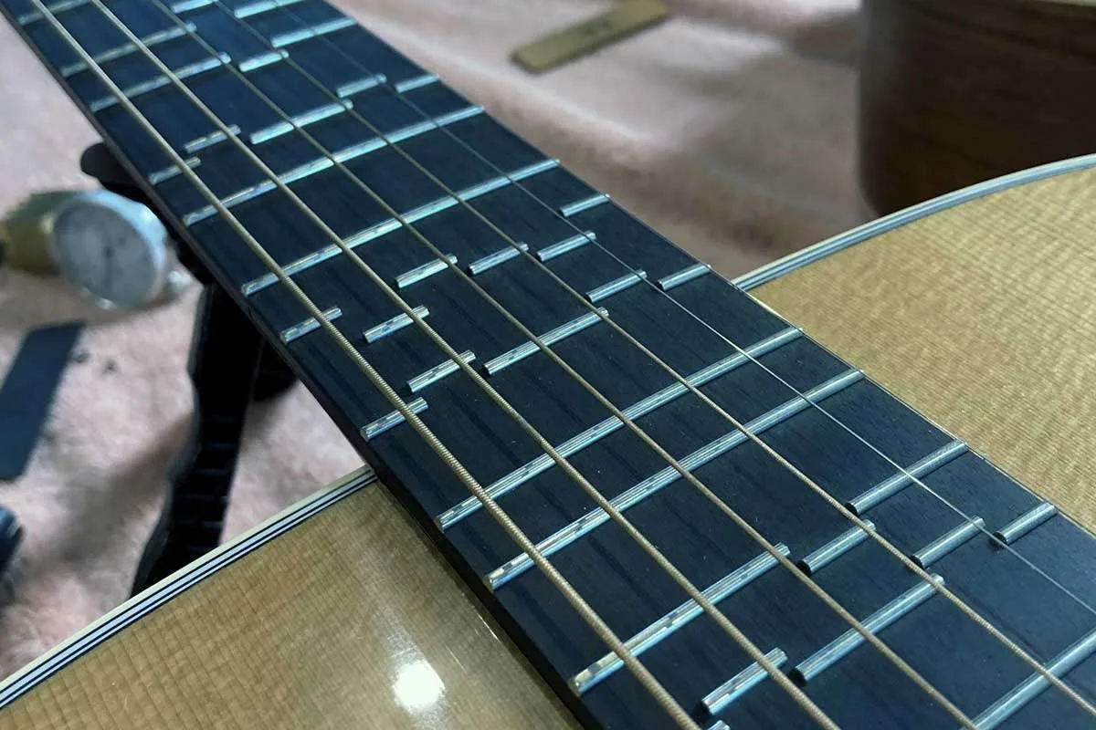 microtonal guitar, kalan music, associate professor repertoire tone prize winner